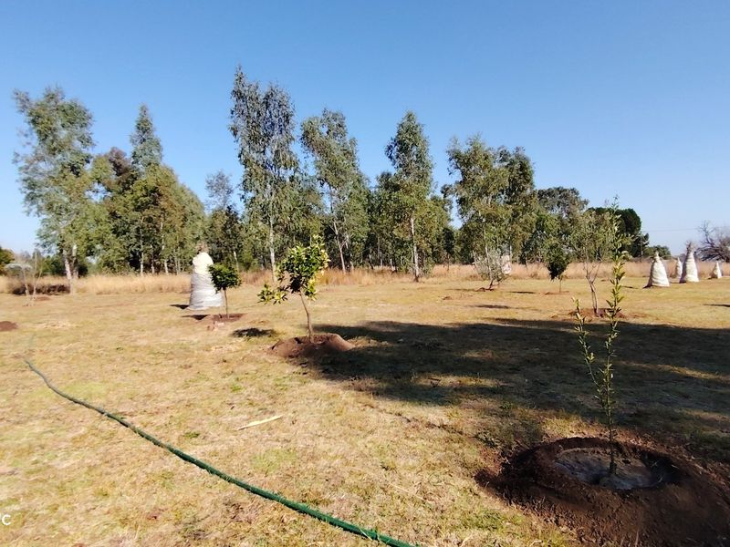 Prime 2.1-Hectare agricultural holding with a log home, borehole. - Photo 8