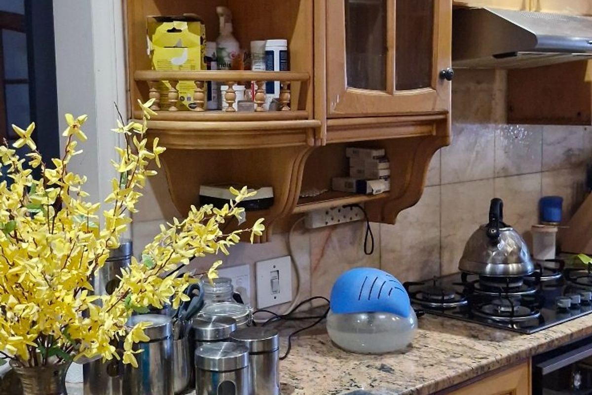 Timeless Grand Family Home Bursting With Potential - Photo 4