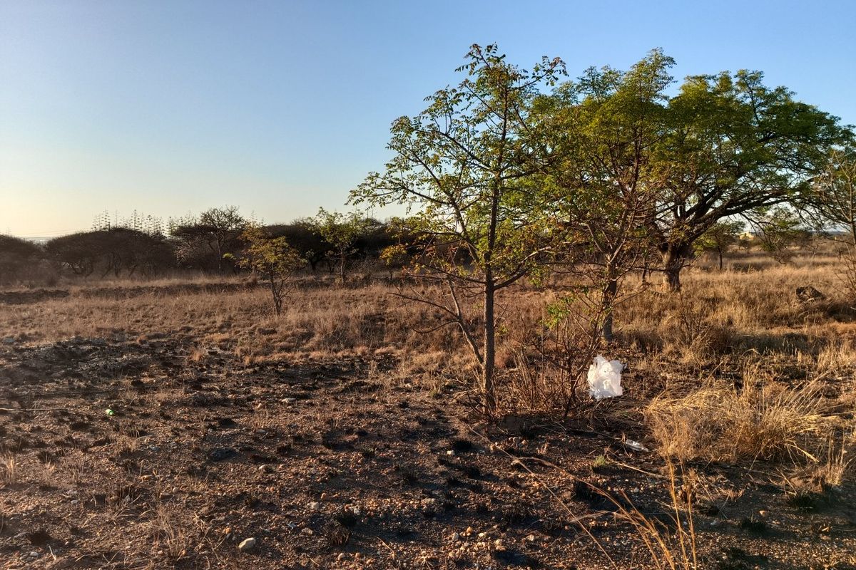 A view of a vacant residential plot featuring natural vegetation and established trees under a clear sky.