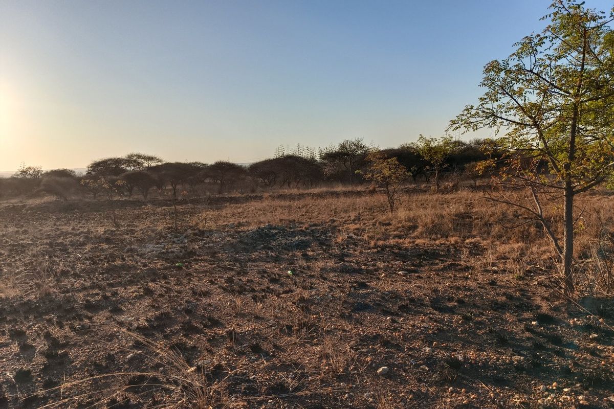 A view of the vacant residential land featuring natural dry vegetation and native trees under a clear sky.