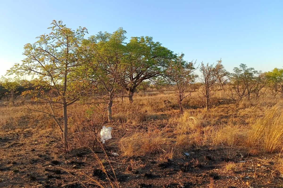 A view of the vacant residential land featuring natural vegetation and established trees under a clear sky.