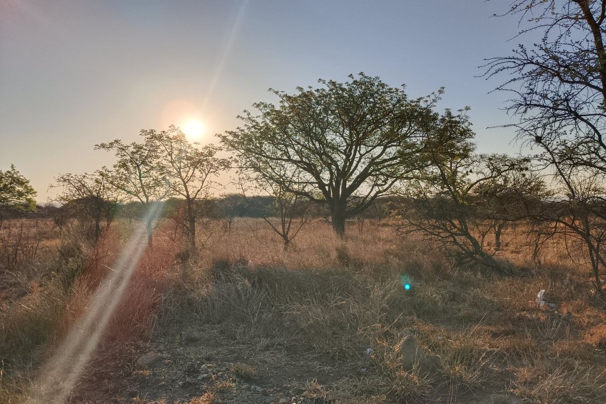A view of the vacant residential land featuring natural vegetation and mature trees under a clear sky.