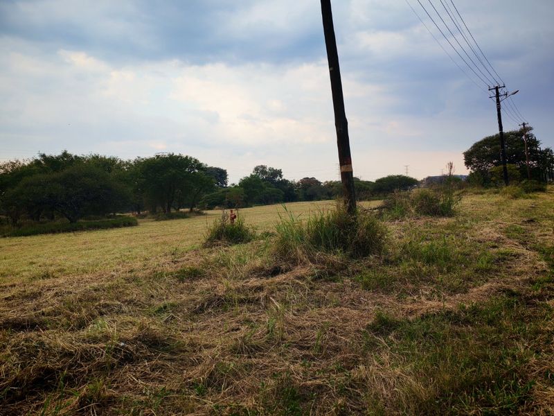 The Wait Is Over – Nearly Ready to Develop! - Photo 2