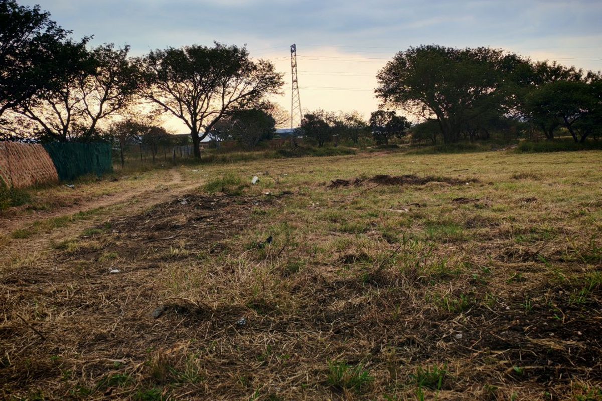 A view of a vacant residential plot featuring natural grass terrain, mature trees, and an electricity pylon in the background.