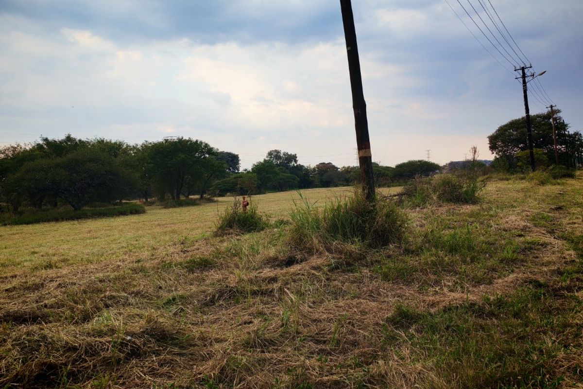 A view of a vacant residential plot featuring open grassy terrain, mature trees in the background, and existing utility infrastructure.