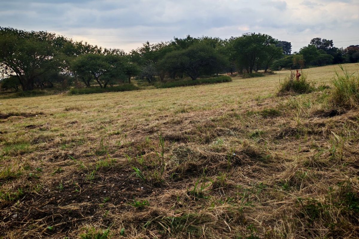 A view of a vacant residential plot featuring natural grassland and mature trees under a cloudy sky.