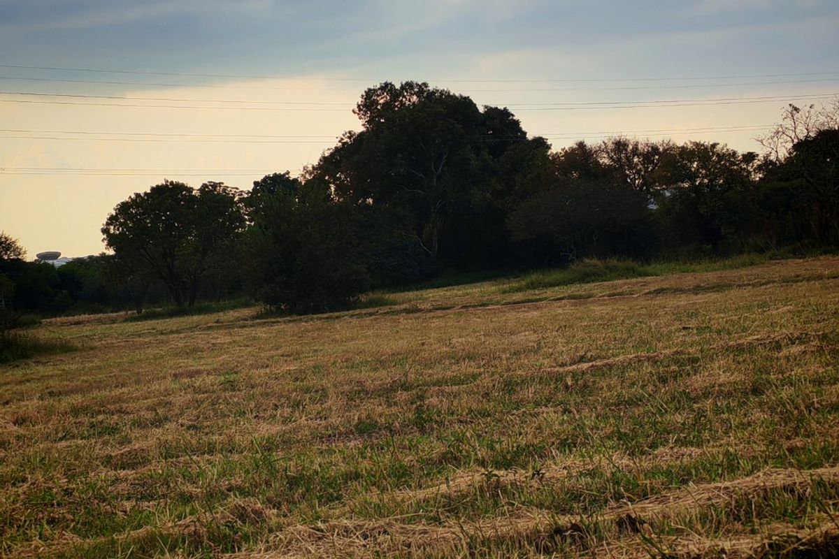 A view of an open, grassy vacant residential plot featuring mature trees and a natural landscape setting.