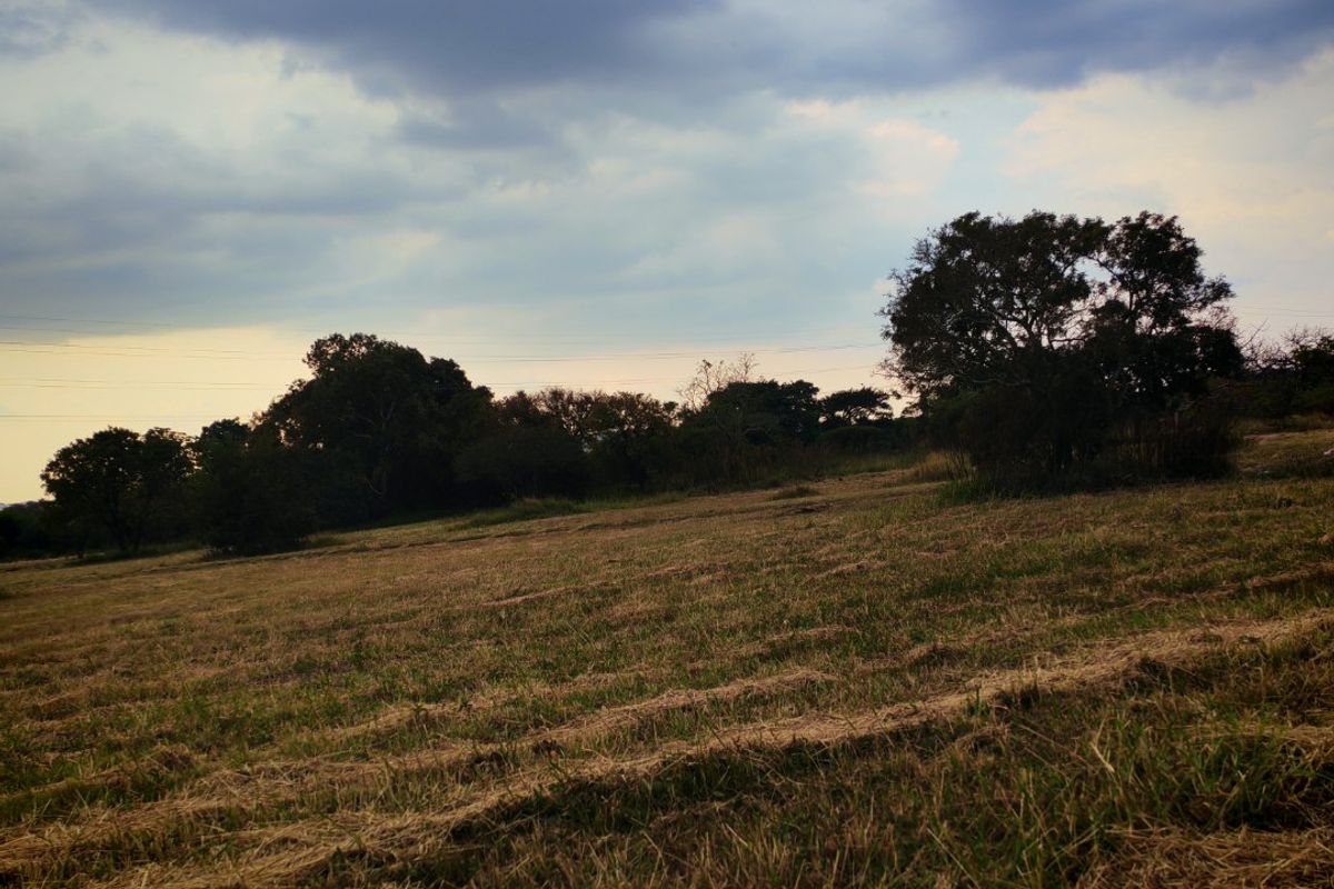 A view of an open, grassy residential plot featuring mature trees under a cloudy sky.