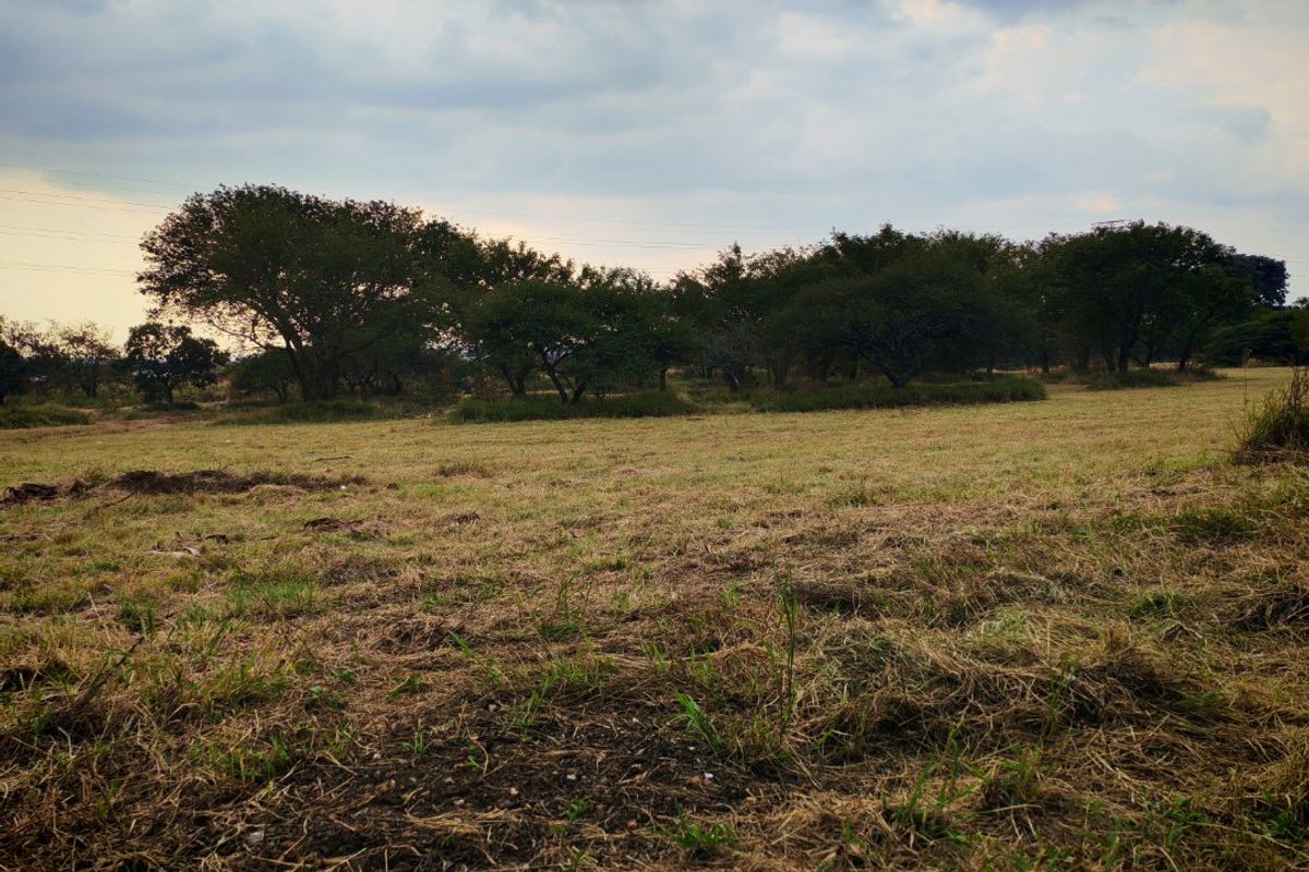 A view of a vacant residential plot featuring open grassland and mature trees under a cloudy sky.