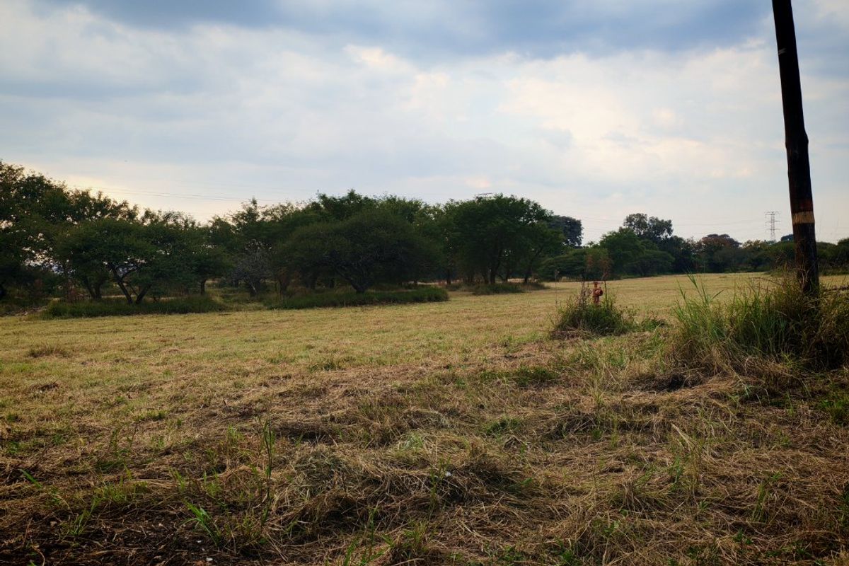 A view of a vacant residential plot featuring open grassy land and mature trees under a cloudy sky.