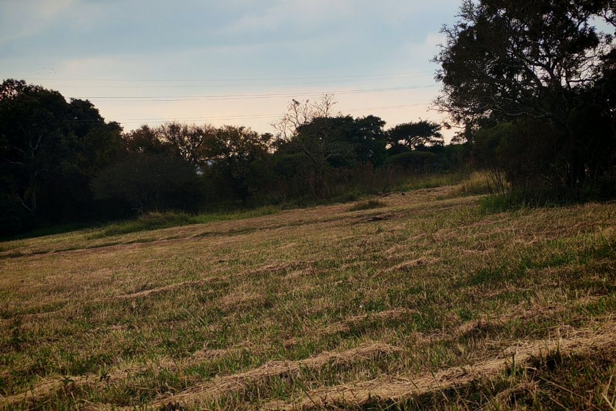A view of a vacant residential plot featuring cleared grass and mature trees, suitable for future development.