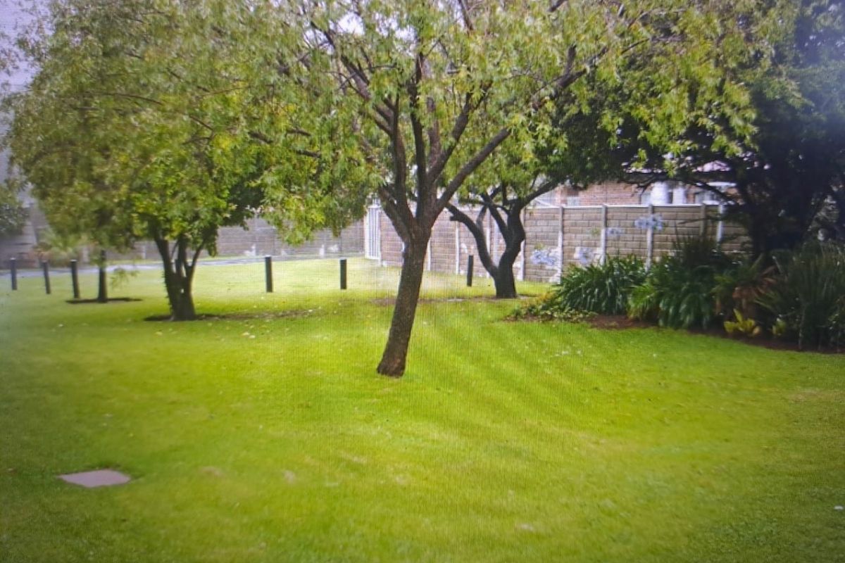 A well-maintained communal garden area featuring mature trees, manicured lawn, and secure perimeter boundary walling.