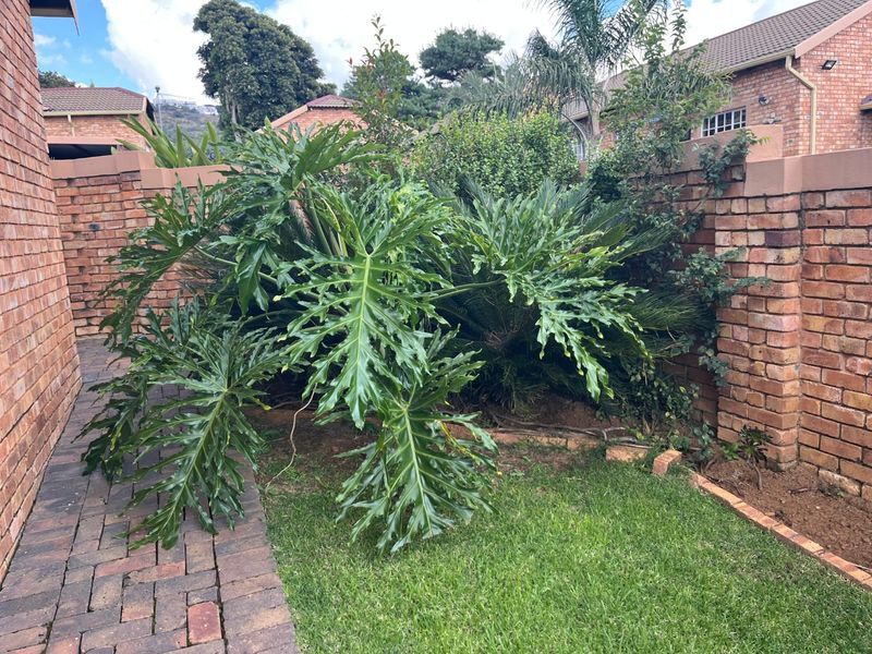 A private rear garden area featuring a brick-paved walkway, established greenery, and a brick boundary wall.