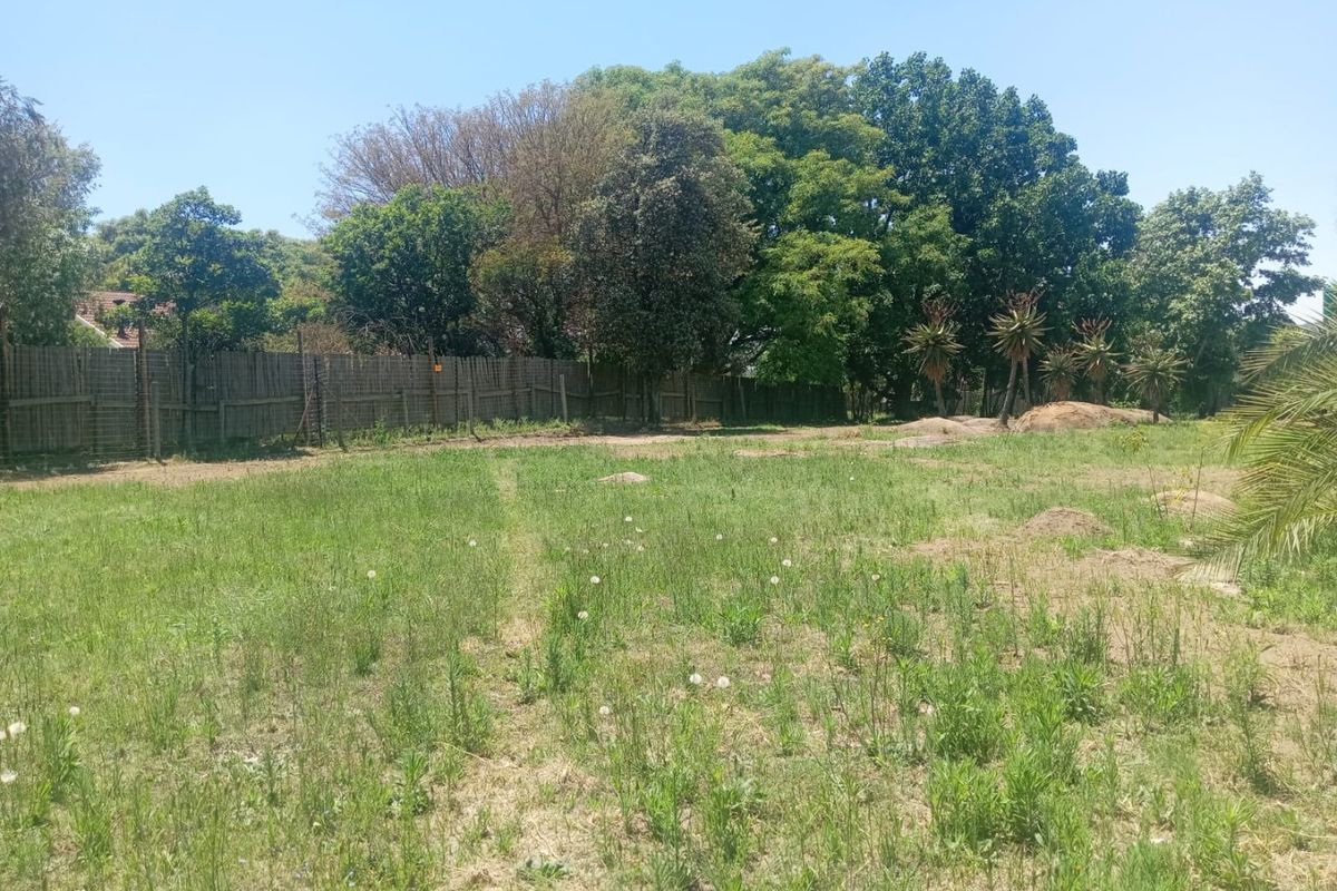 A vacant residential plot featuring established trees, mature palms, and perimeter reed fencing, offering a blank canvas for future development.