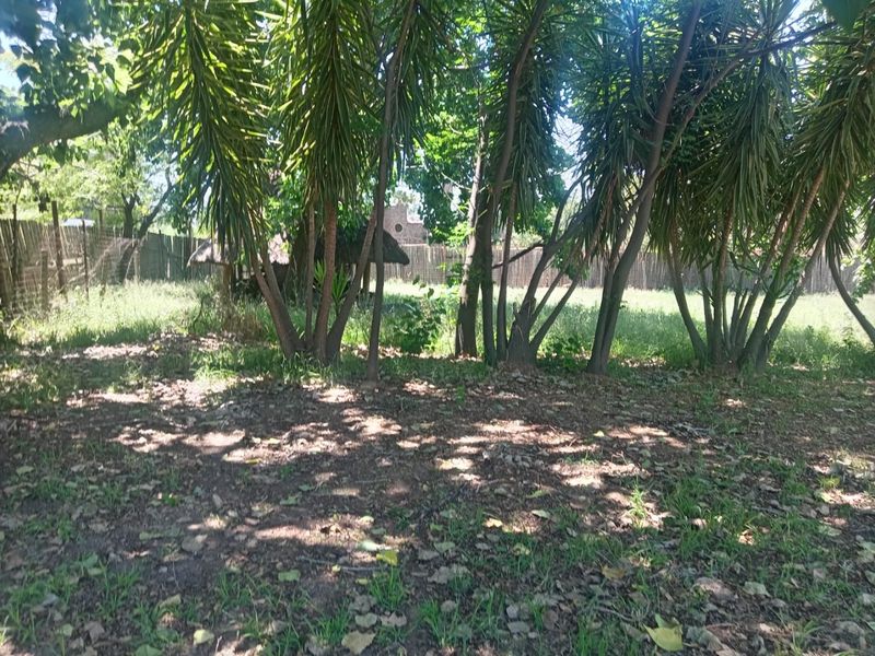 Prime 1000 m2 Stand in President Park, Midrand For Rental - Photo 6