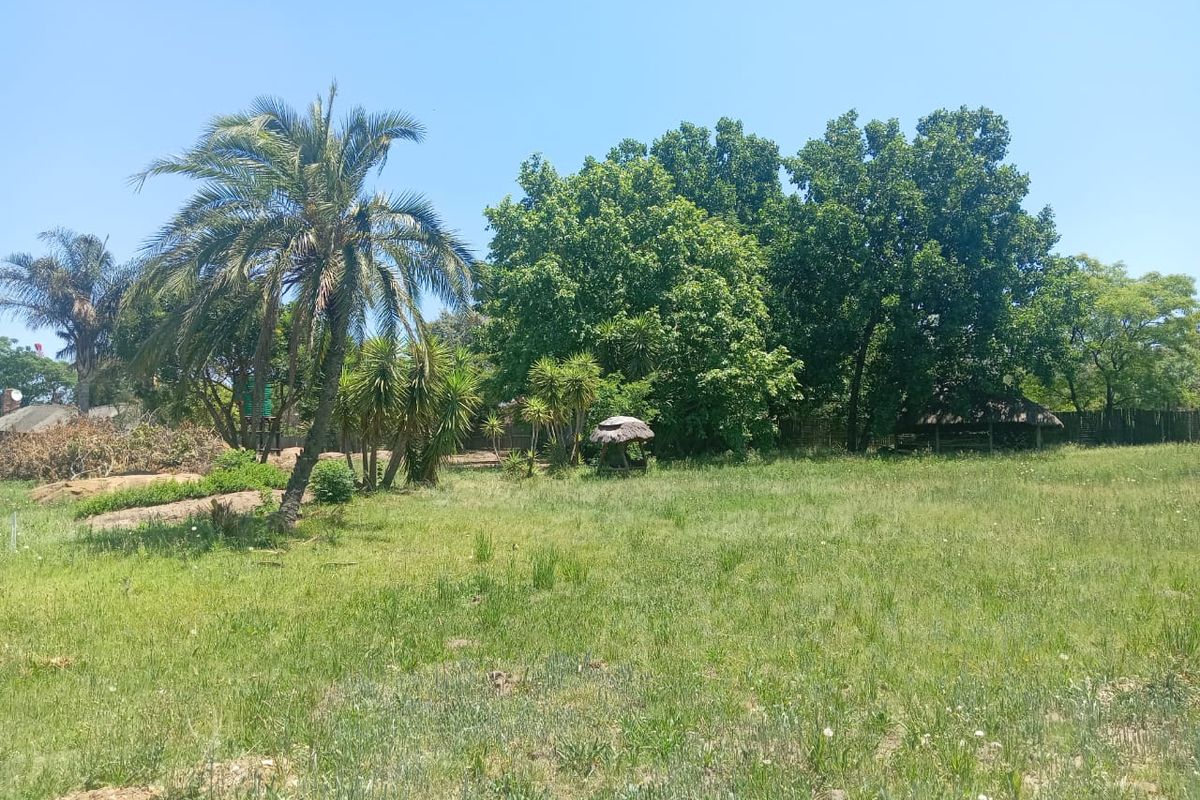 A spacious, grassy residential plot featuring mature trees, a palm tree, and a small thatched structure in a natural, open setting.