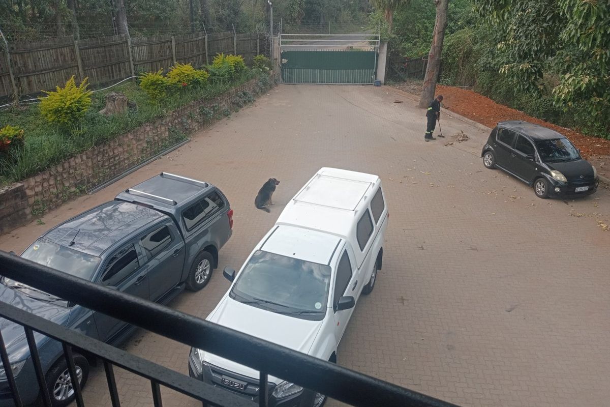 An elevated view of a paved commercial driveway featuring a secure gated entrance, retaining walls, and perimeter electric fencing.