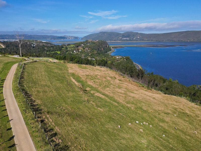 Urban Farm Living in Knysna - Photo 1