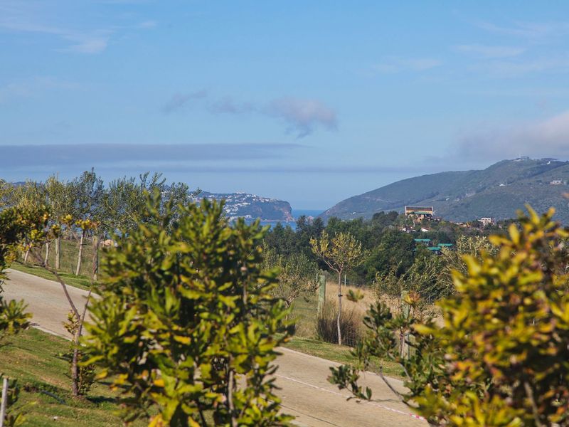 Urban Farm Living in Knysna - Photo 10