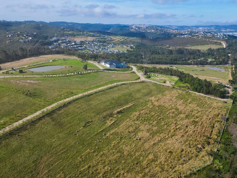 Urban Farm Living in Knysna - Photo 3