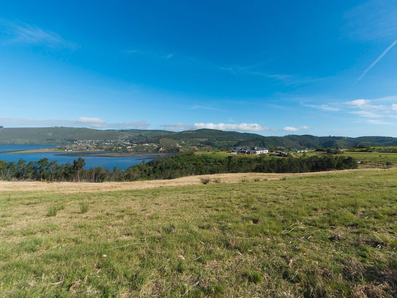 Urban Farm Living in Knysna - Photo 9