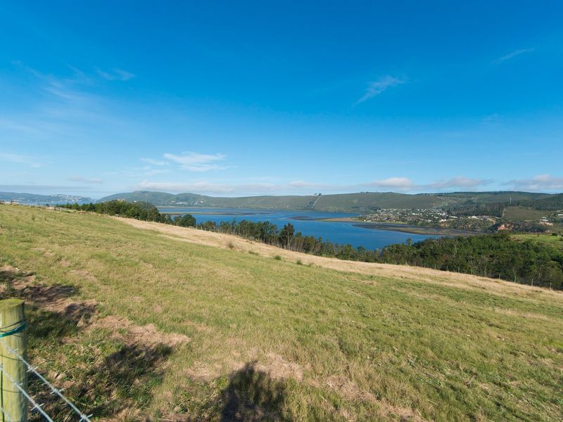 Urban Farm Living in Knysna - Photo 8