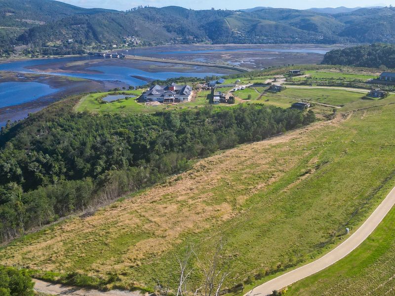 Urban Farm Living in Knysna - Photo 6