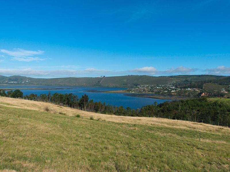 Urban Farm Living in Knysna - Photo 7