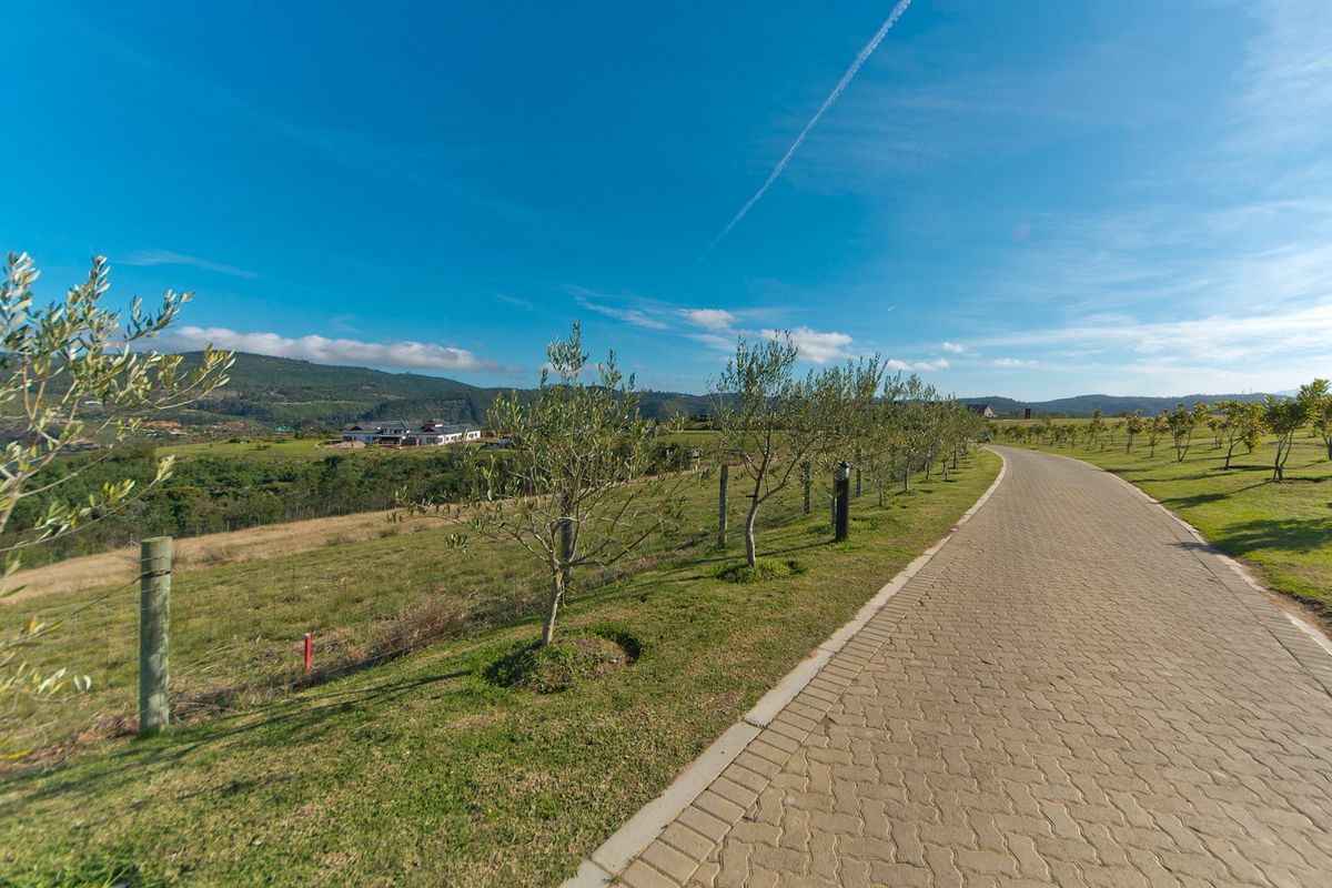 A scenic view of a paved driveway winding through a well-maintained residential estate with young trees and expansive landscape views.