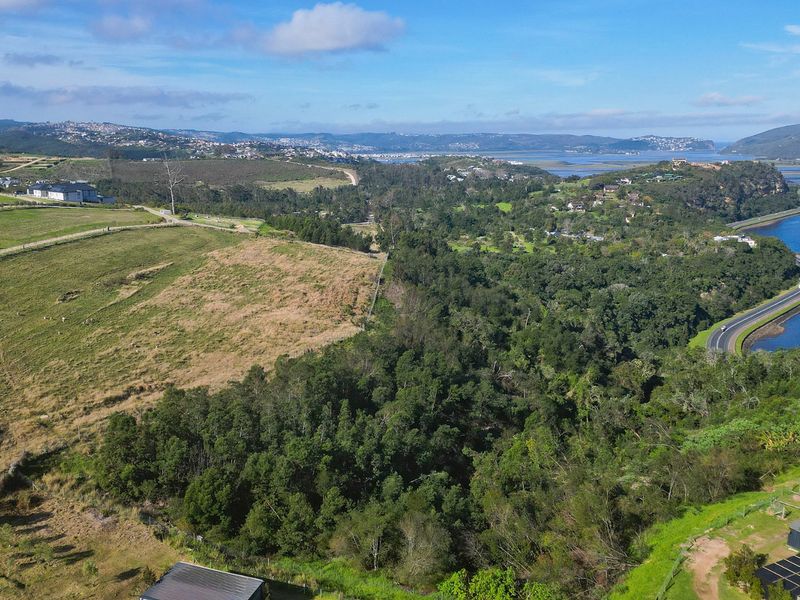 Urban Farm Living in Knysna - Photo 5