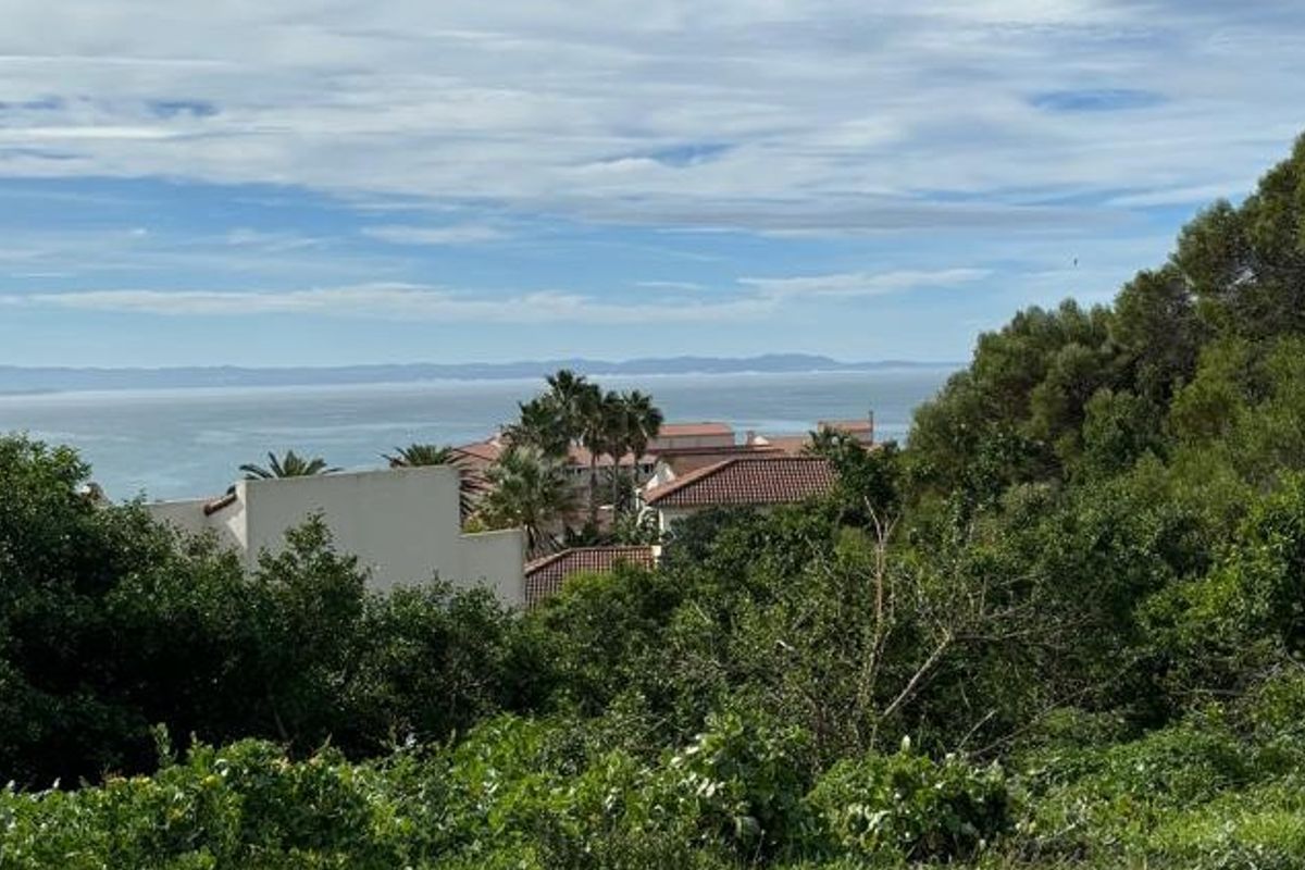 A scenic elevated view overlooking the coastline, featuring lush surrounding vegetation and distant ocean vistas.