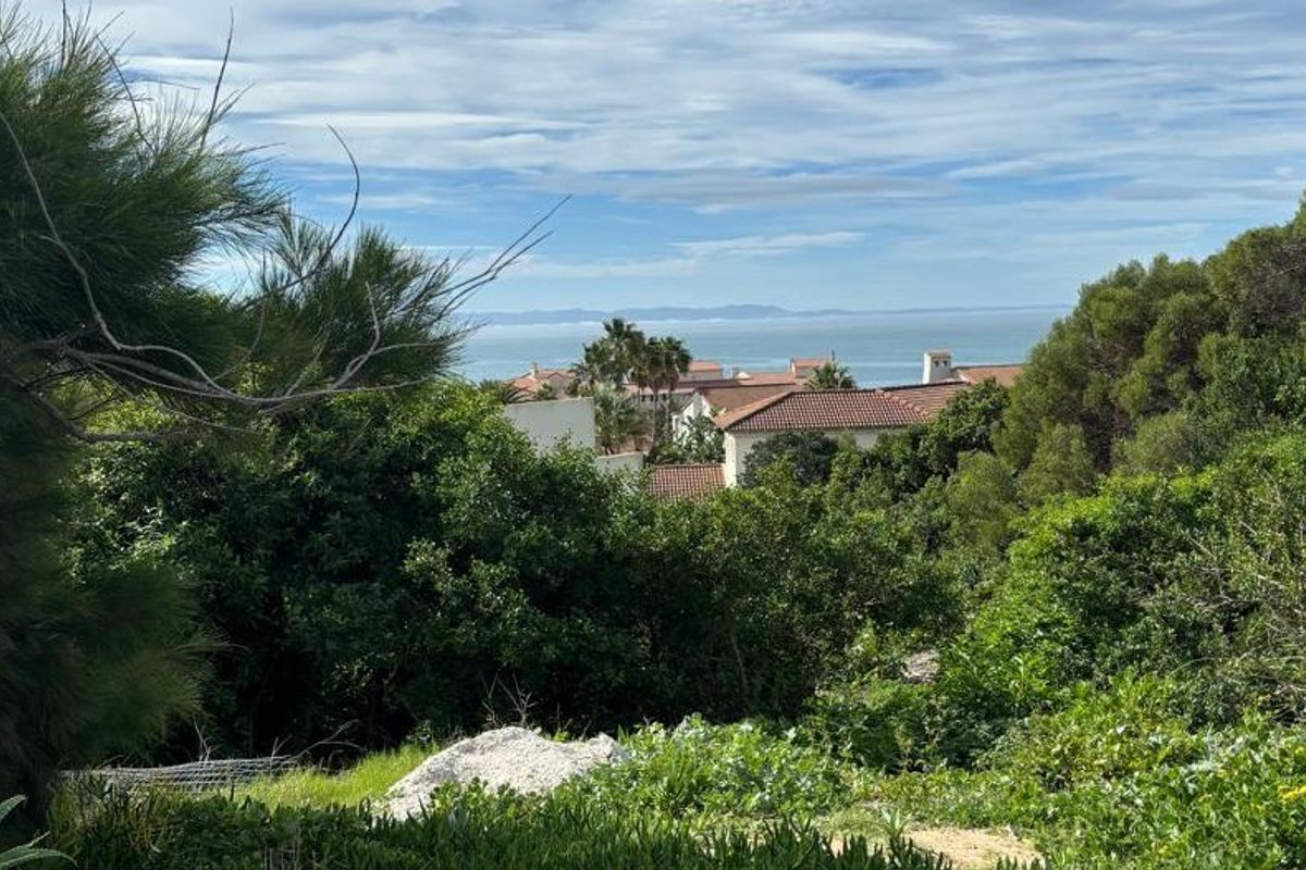 A scenic view overlooking coastal landscape and surrounding residential properties, framed by mature trees and greenery on a vacant residential plot.