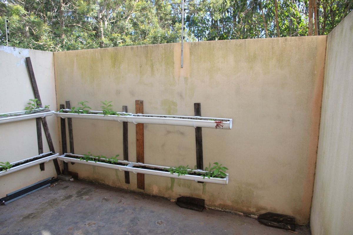 A private rear courtyard area featuring a perimeter wall with electric fencing and concrete paving, currently utilized for vertical gardening.