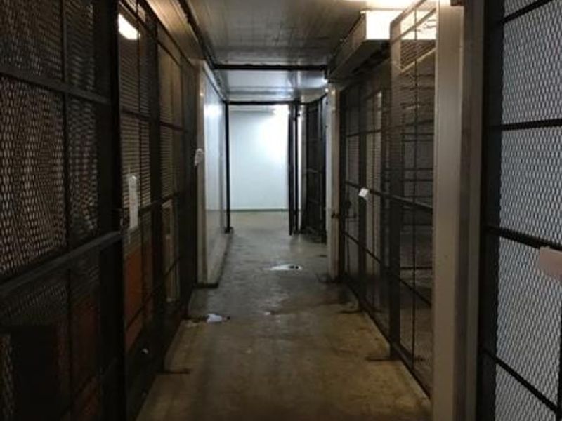 A utilitarian storage corridor featuring metal mesh security cages and concrete flooring, suitable for commercial storage or back-of-house operations.