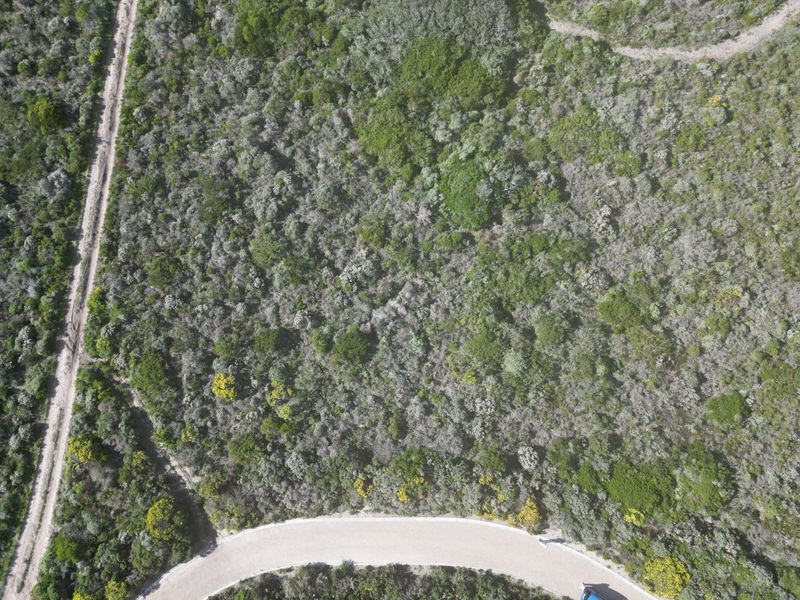 Vacant land in the most upmarket area in Gansbaai. Beautiful sea and mountain views.  - Photo 7