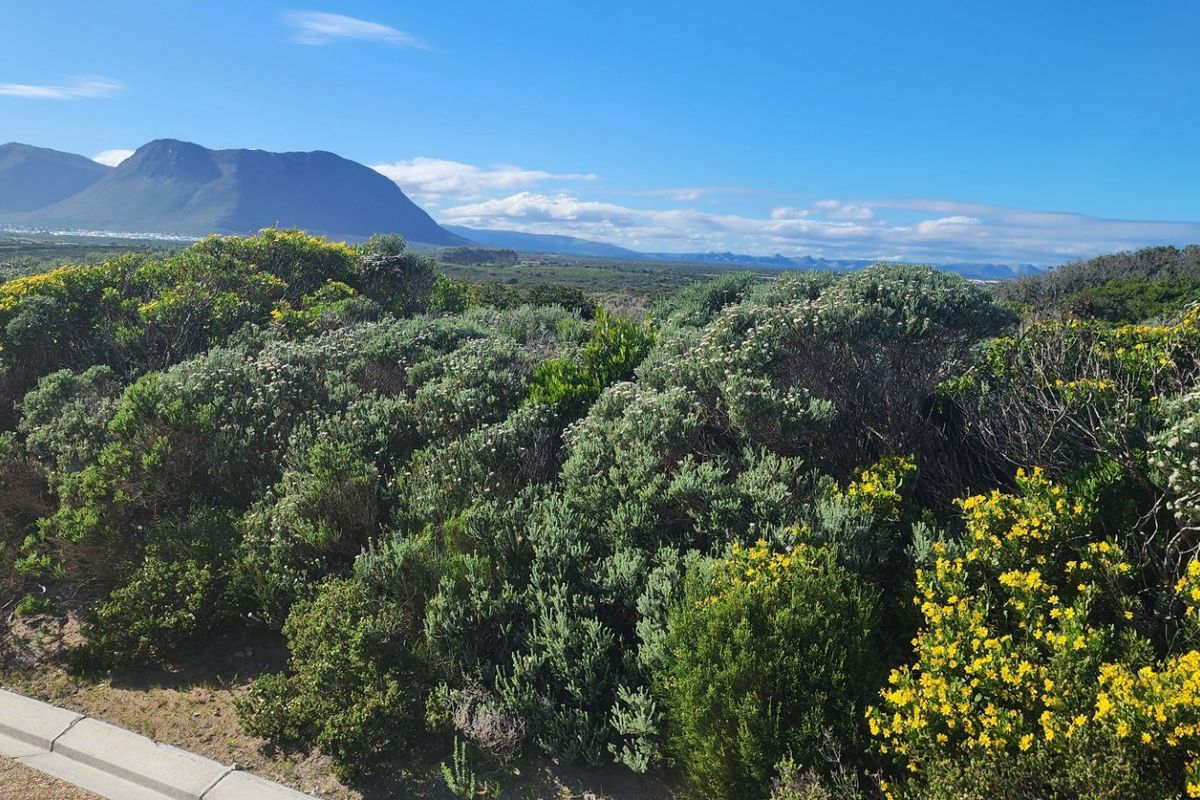A scenic view of the surrounding landscape featuring native coastal vegetation and distant mountain ranges from the residential property.