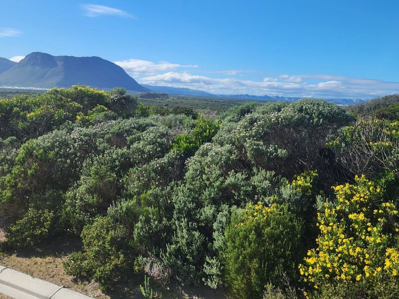 Vacant land in the most upmarket area in Gansbaai. Beautiful sea and mountain views.  - Photo 5