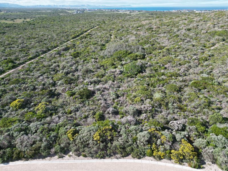 Vacant land in the most upmarket area in Gansbaai. Beautiful sea and mountain views.  - Photo 6