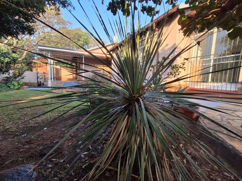TO LET!! Stunning Upgraded 3-Bedroom Simplex in Florauna - Photo 7