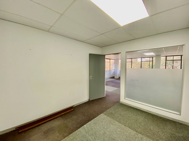 An empty commercial office space featuring a suspended ceiling, recessed lighting, and a glass partition with frosted privacy film.