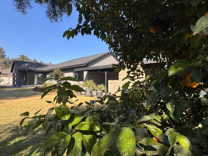 Top-tier four bedroom, three bathroom home in Risiville - Photo 1