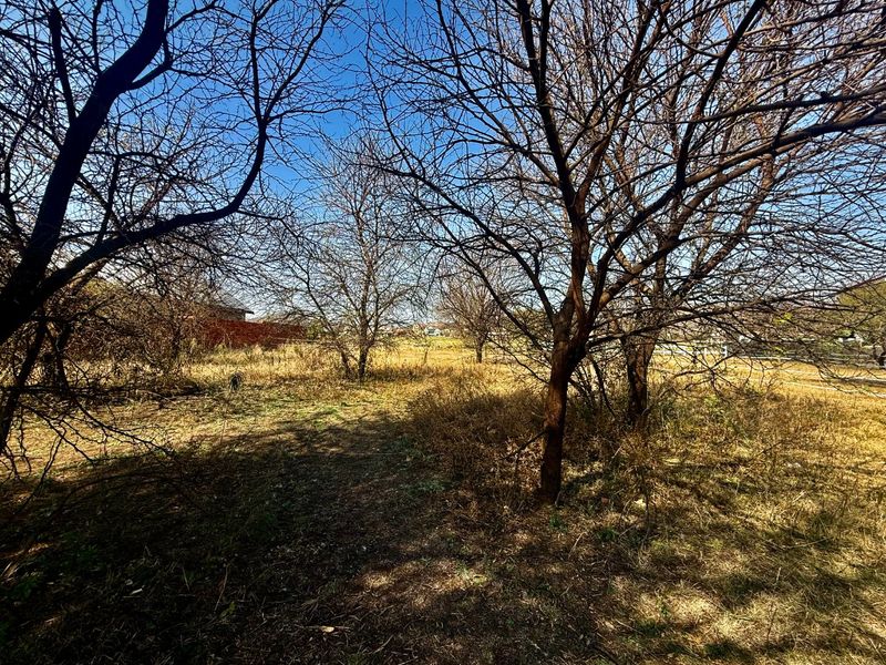 Prime 935m2 Vacant Stand in Prestigious Landsmeer Equestrian Estate - Photo 4