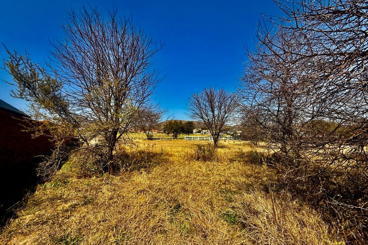 A view of a vacant residential plot featuring dry grass, mature trees, and perimeter fencing under a clear blue sky.