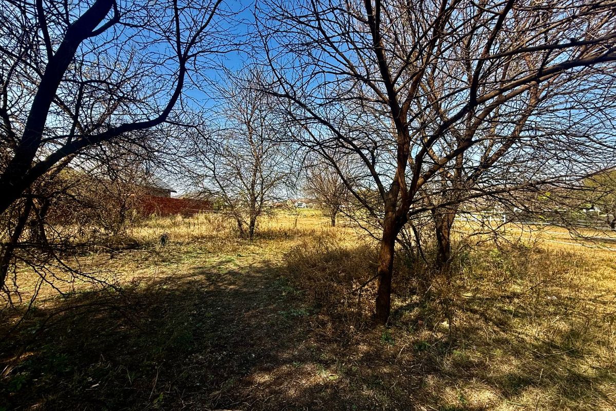A view of a vacant residential plot featuring mature trees and natural vegetation, offering a blank canvas for future development.