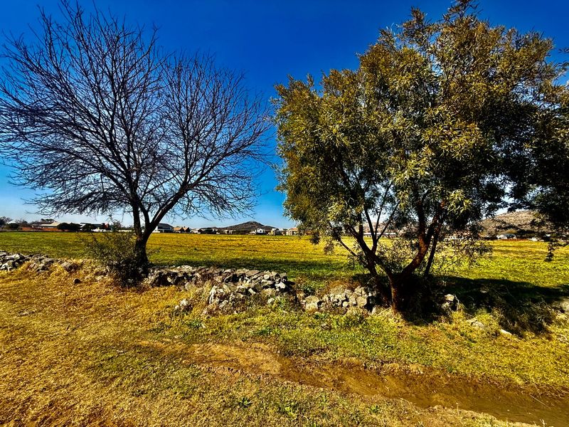 Prime 935m2 Vacant Stand in Prestigious Landsmeer Equestrian Estate - Photo 8
