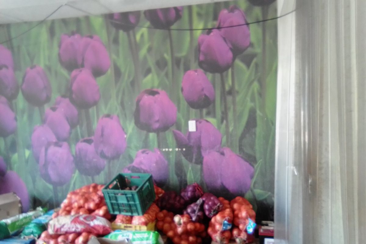 A utility or storage area featuring a floral wall mural and a drop ceiling with visible exposed wiring.