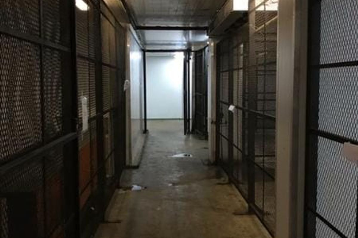 A utilitarian storage corridor featuring metal mesh security cages and concrete flooring, suitable for commercial storage or back-of-house operations.