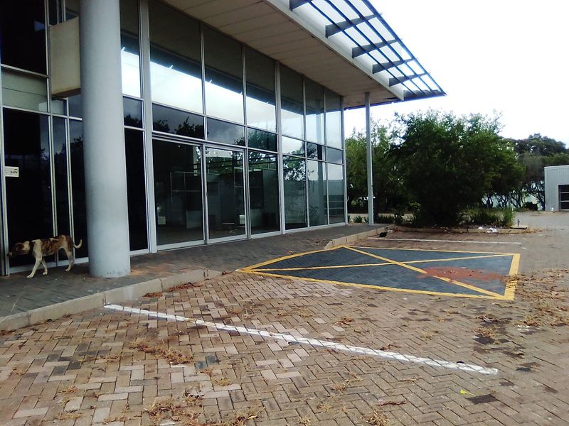 450 SQUARE METERS COMMERCIAL BUSINESS PROPERTY FOR RENTAL - Photo 2