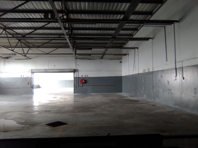 500 SQUARE METERS COMMERCIAL BUSINESS PROPERTY FOR RENTAL - Photo 8