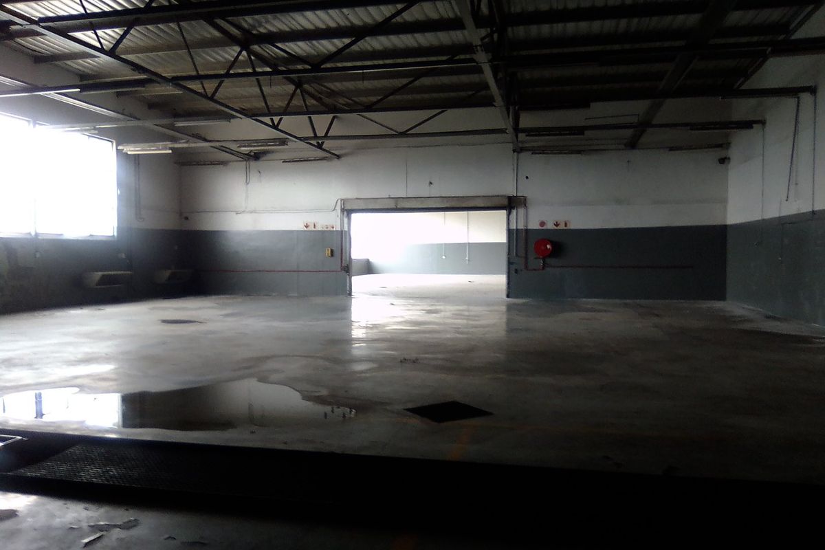 Spacious industrial utility area featuring exposed steel roof trusses, concrete flooring, and a large roller shutter door, suitable for warehouse or workshop use.